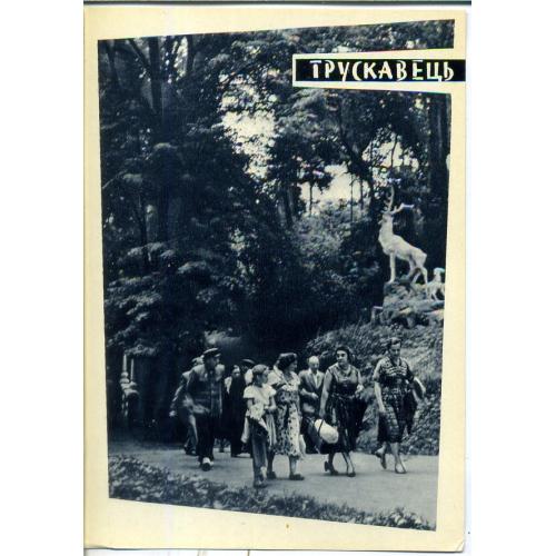 Трускавец Центральная аллея парка фото Чемерис Мистецтво