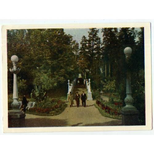 Трускавец Парк  01.02.1958 фото Бакман Держвидавництво