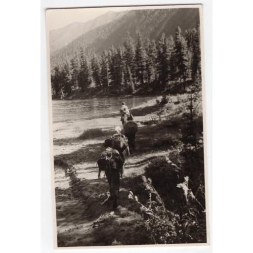 Туристы поход горы Саяны 8х12,5 см 1963 год