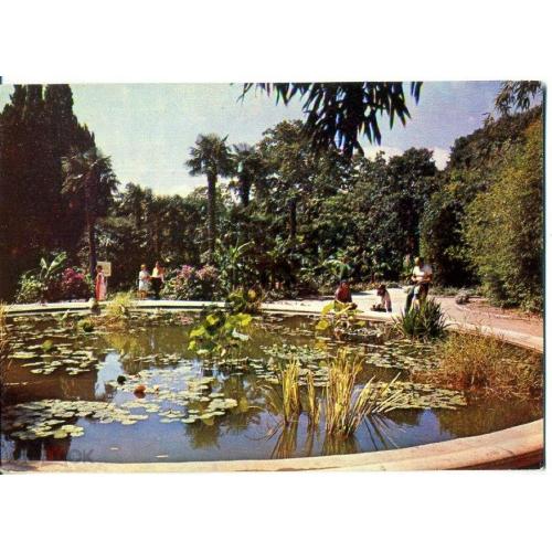 В Никитском ботаническом саду 1974 Кропивницкий  