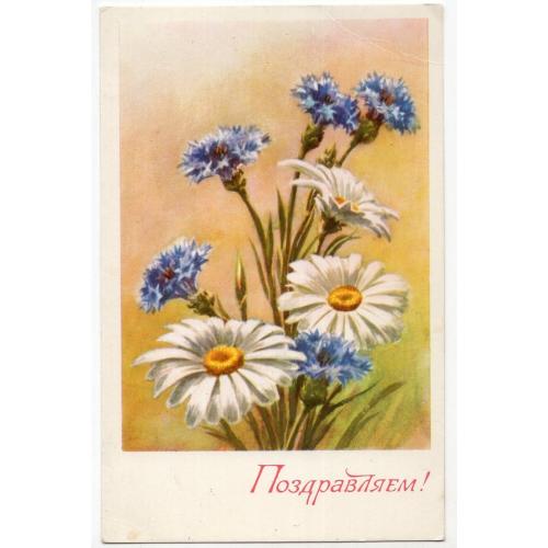 В. Попов Поздравляем! 1976 цветы - ромашки , васильки