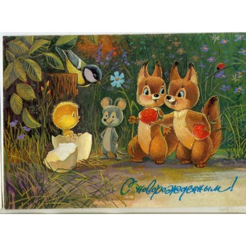 В. Зарубин С новорожденным! 26.07.1991 ДМПК в5-6 белки мышка цыпленок  чистая