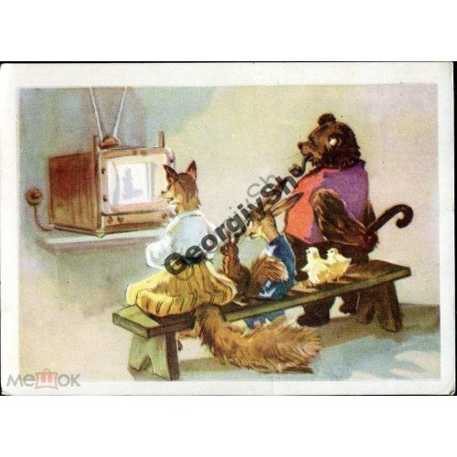 Вендер Звери у телевизора 1957 мишка, заяц, лиса  Октообер Таллин