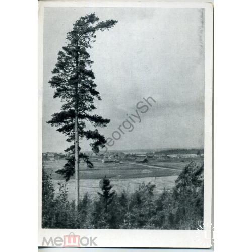 Вид на Кончанское-Суворовское с холма Дубихи 1966  