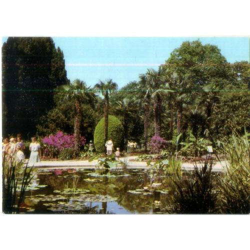 Ялта Государственный Никитский ботанический сад 10.07.1981 ДМПК чистая в7-4  