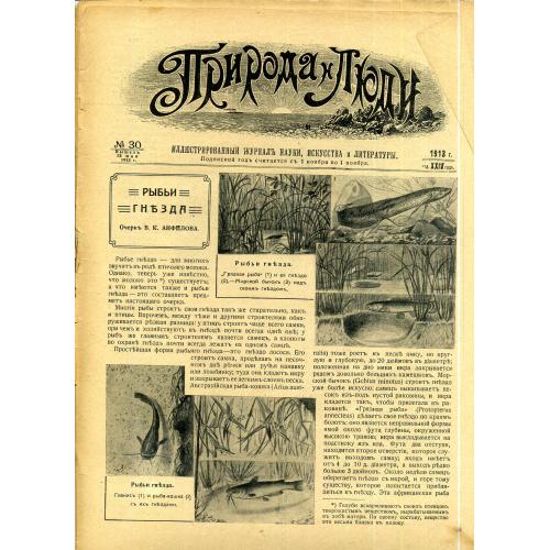журнал Природа и люди 30 23 мая 1913 Рыбы, Конго, Новгородцы-путешественники, целлулоид, насекомые