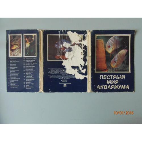 Набор открыток "Пёстрый мир аквариума" Выпуск 2. 1982