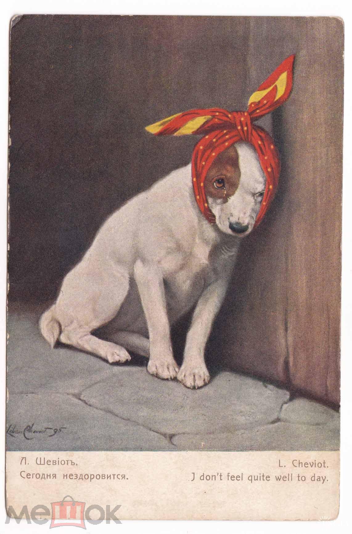 Мне сегодня нездоровится. Картины с собачками известных художников. Старинные открытки с собаками. Собака болеет. Картина Упоротые собаки.