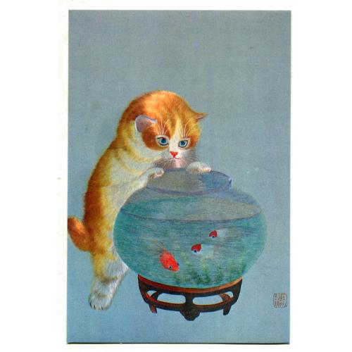 Аквариум. Котенок. Изд. Китай.