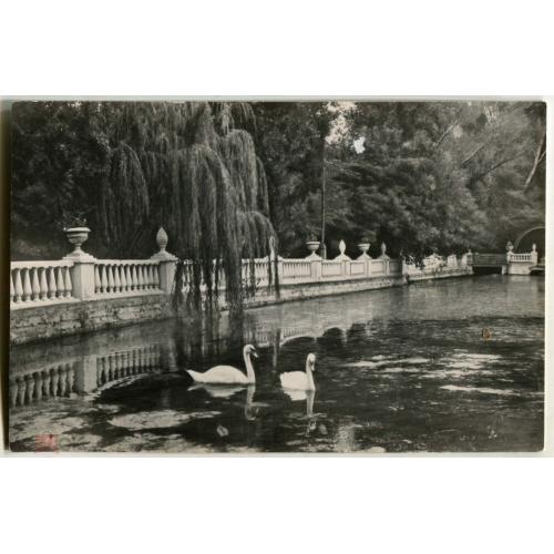 Крым. САКИ. Пруд в парке. 1966 г.
