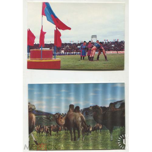 МОНГОЛИЯ. На центральном стадионе. Верблюды .Zabhan Almak. Две открытки.