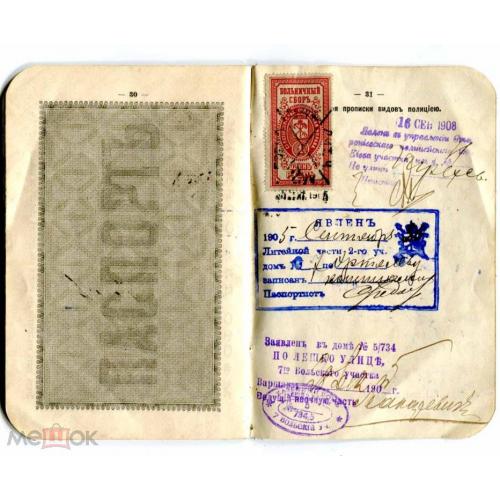 Паспорт. 1905 г. Марка Больничного сбора. Непочта.