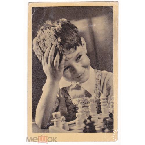 Шахматы. "Маленький шахматист". Будапешт.