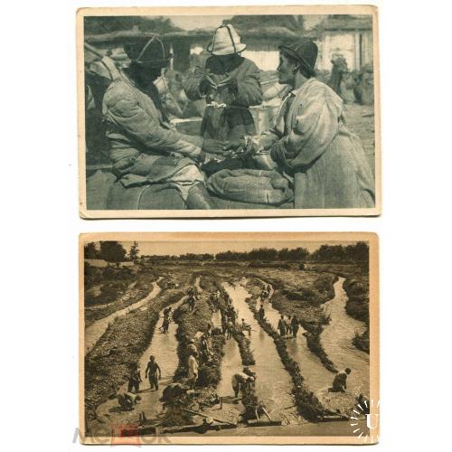 Средняя Азия. Узбекистан. Киргизы на хлебном базаре. Арык. 1929 г. 2 открытки.