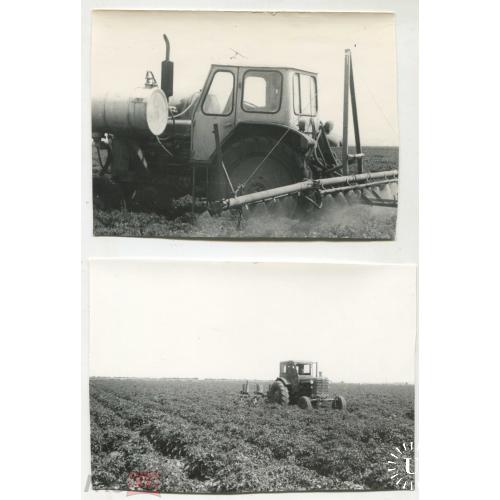 Трактор. Сельхозтехника. МОЛДНИИОЗ. Молдавия. 4 фотографии. 10 х 15 см.
