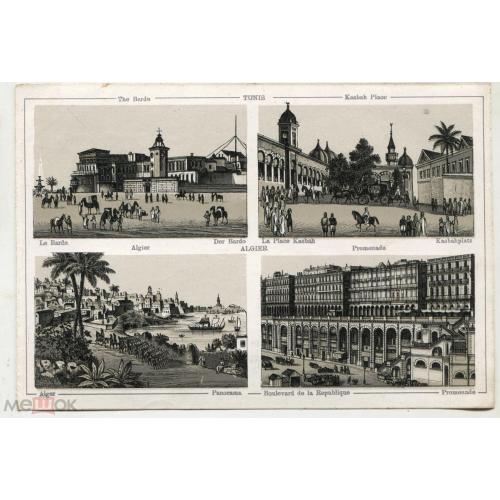 Тунис. Алжир.. Литография . XIX век. 11,5 х 17 см. Реверс чистый.