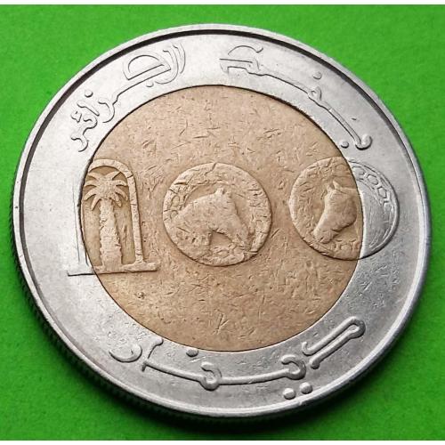 Биметалл - Алжир 100 динаров 1993 г.