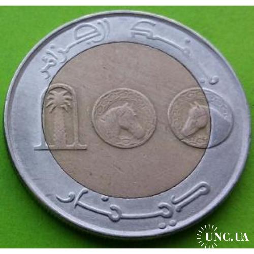 Биметалл - Алжир 100 динаров 2017 г.