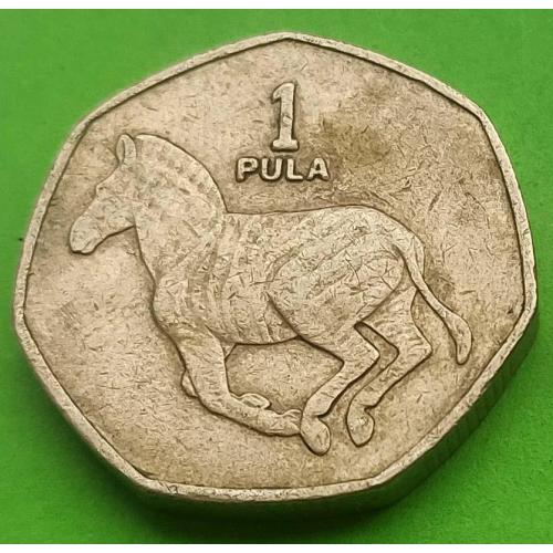 Ботсвана 1 пула 1991 г.