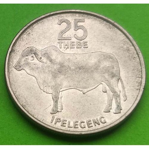 Ботсвана 25 тебе 1991 г. (большая) - магнит