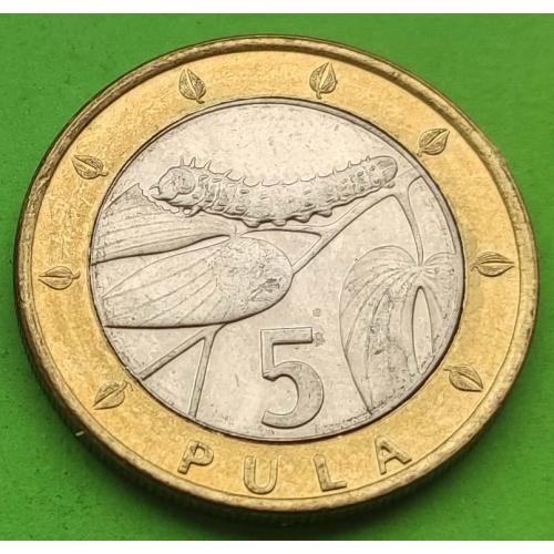 Ботсвана 5 пула 2007 г.