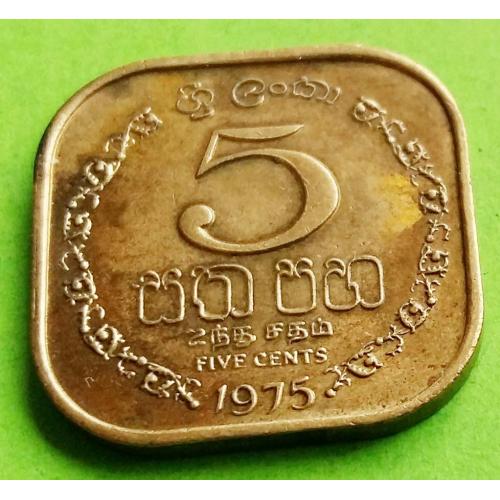 Бронза - Шри Ланка 5 центов 1975 г. (редкий металл)