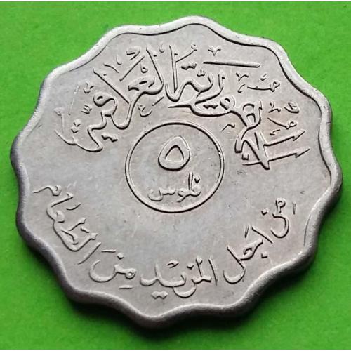 ФАО (надпись, а не веточки под номиналом) - Ирак 5 филсов 1975 г.