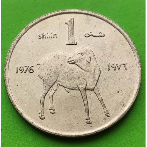 ФАО - UNC - Сомали 1 шиллинг 1976 г. (с овечкой)