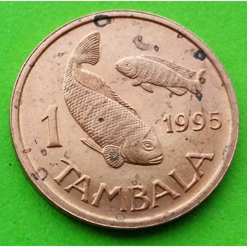 Малави 1 цент 1995 г. (рыба)