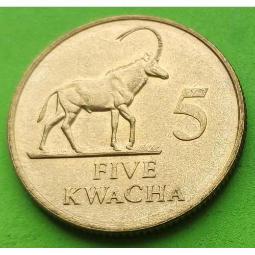 Редкая эмиссия - Замбия 5 квач 1992 г.