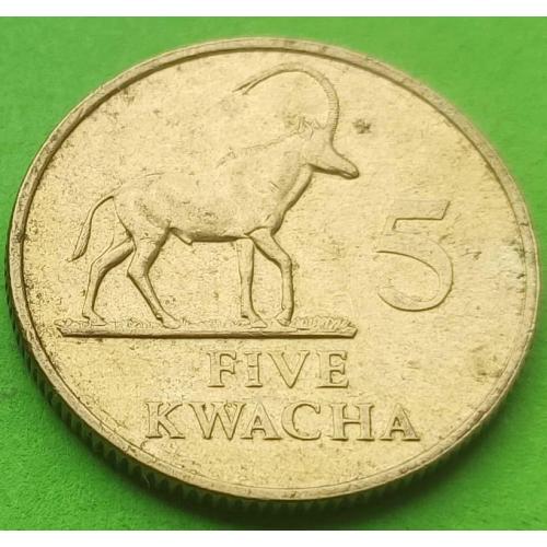 Редкая эмиссия - Замбия 5 квача 1992 г.
