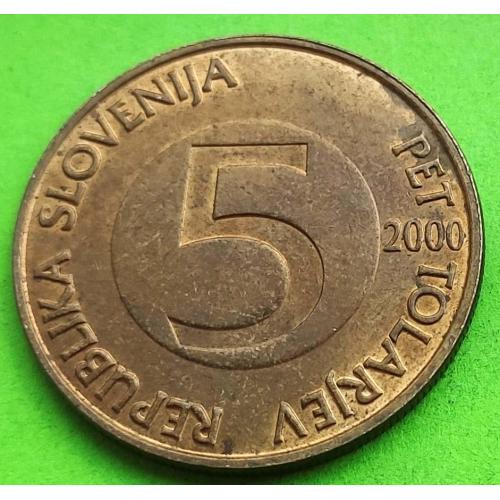 Словения 5 толаров 2000 г. - регулярный чекан