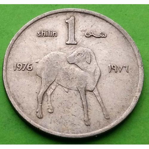 Сомали 1 шиллинг 1976 г. - редкая эмиссия