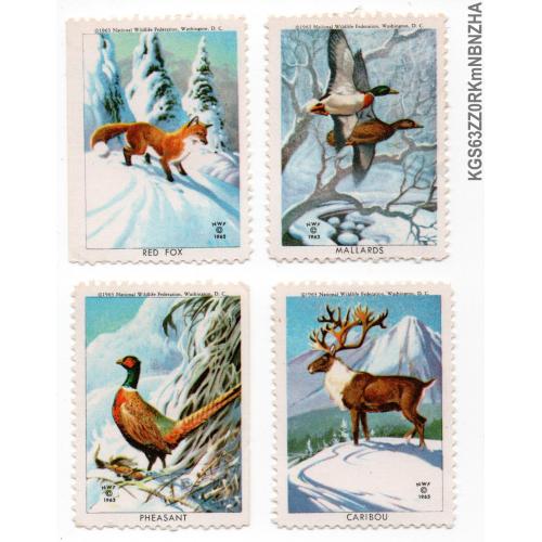 1963 г., США, 4, Фауна издания NWF, подарочные марки