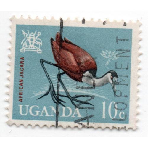 1965 г., Уганда, Птицы