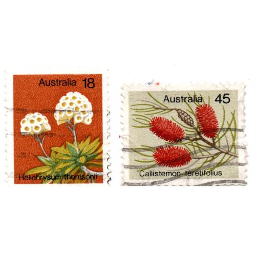 1975 г., Австралия, 2, Растения