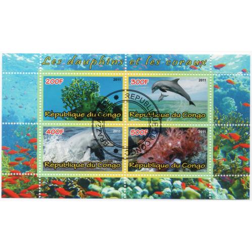 2011 г., Конго, 4, Дельфины и кораллы I