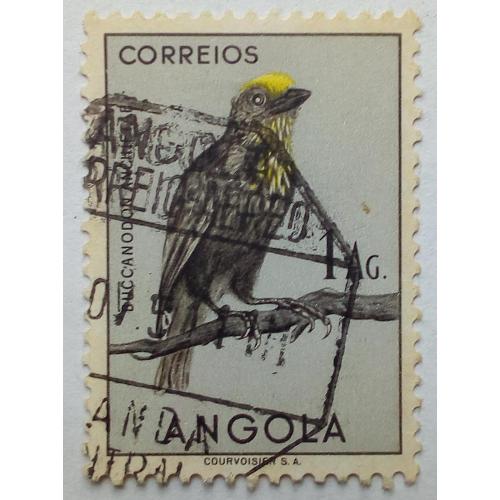 Ангола 1951 Птицы, фауна, гашеная