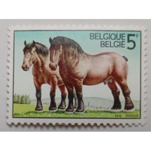 Бельгия 1976 Лошади, MNH