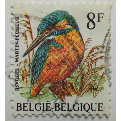 Бельгия 1986 Зимородок, птицы, фауна, гашеная