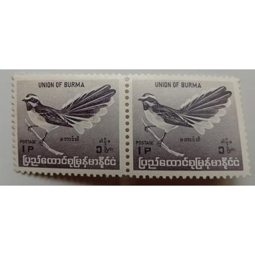 Бирма 1964 Веерохвостка, птица, сцепка, MNH
