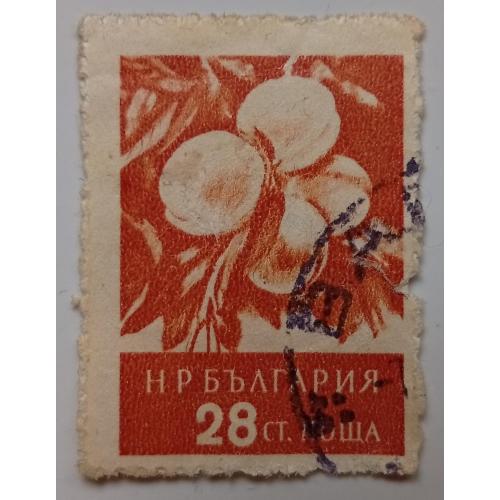 Болгария 1956 Персики, фрукты, гашеная