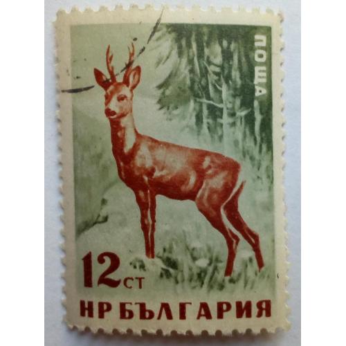 Болгария 1958 Дикие животные, 12ст, гашеная