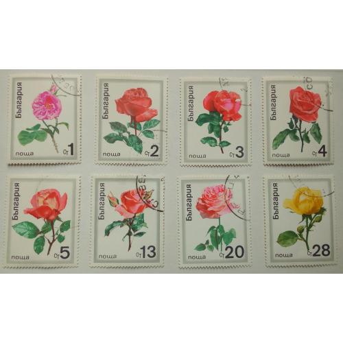 Болгария 1970 Цветы, розы, гашеные