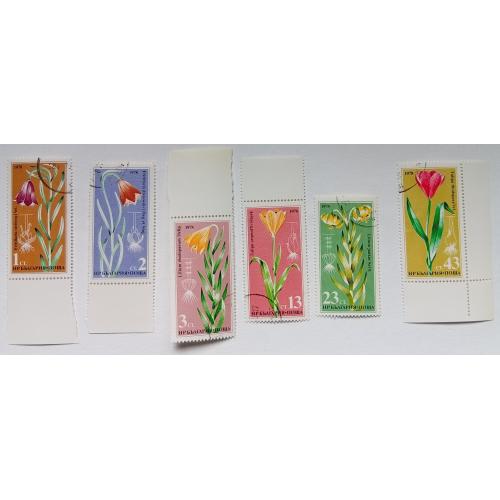 Болгария 1978 Цветы, гашеные с полями