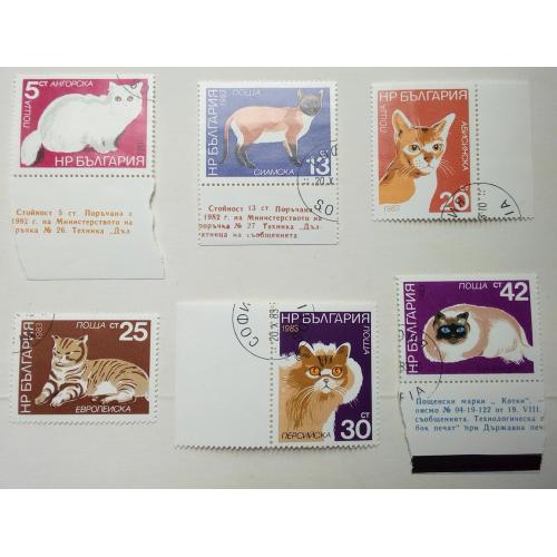 Болгария 1983 Коты, кошки, домашние животные, гашеные