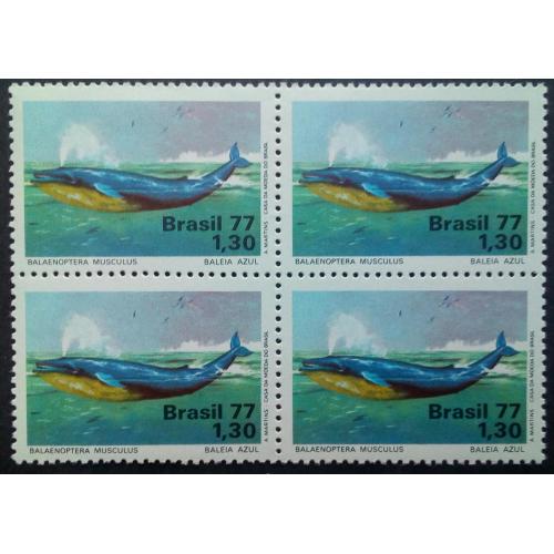 Бразилия 1977 Фауна, кит, квартблок, MNH (КЦ=24 евро)