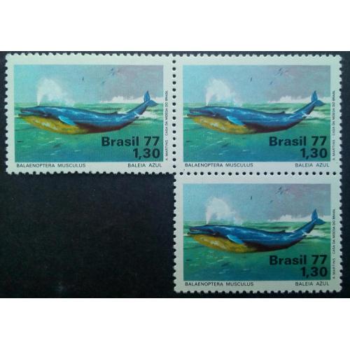 Бразилия 1977 Фауна, кит, MNH (КЦ=18 евро)