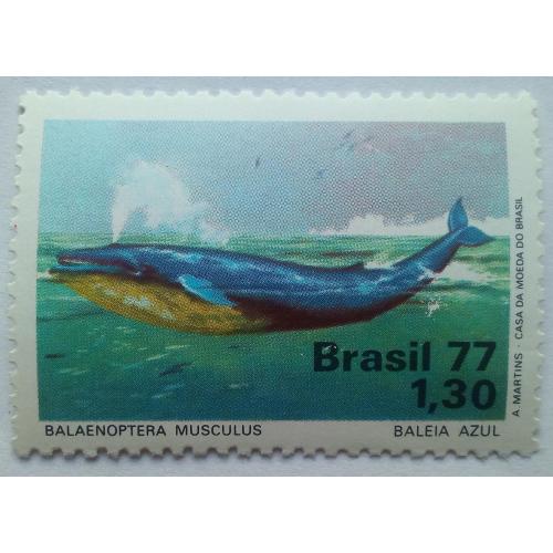 Бразилия 1977 Фауна, кит, MNH (КЦ=5 евро)
