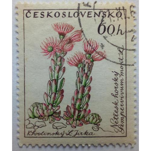 Чехословакия 1960 Цветы, 60h, гашеная